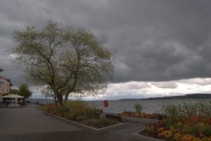 DSC09046