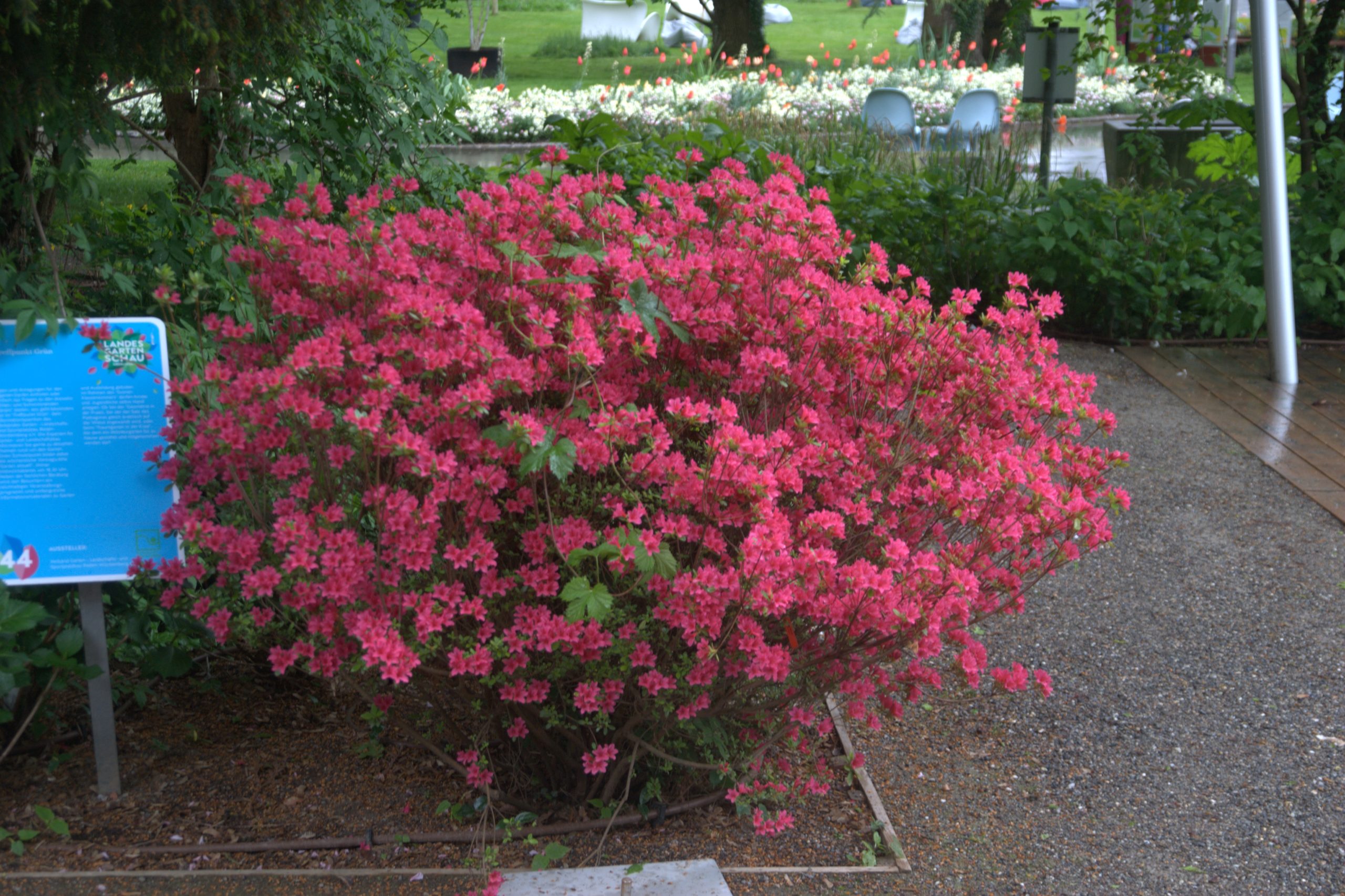 DSC09057