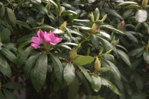 DSC09060