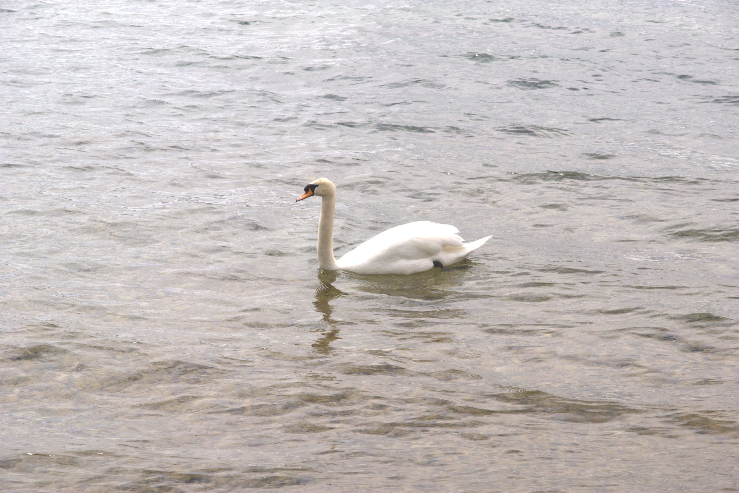 DSC09080