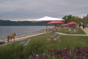 DSC09147