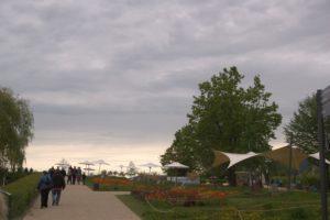 DSC09239