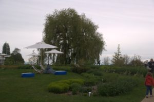 DSC09244