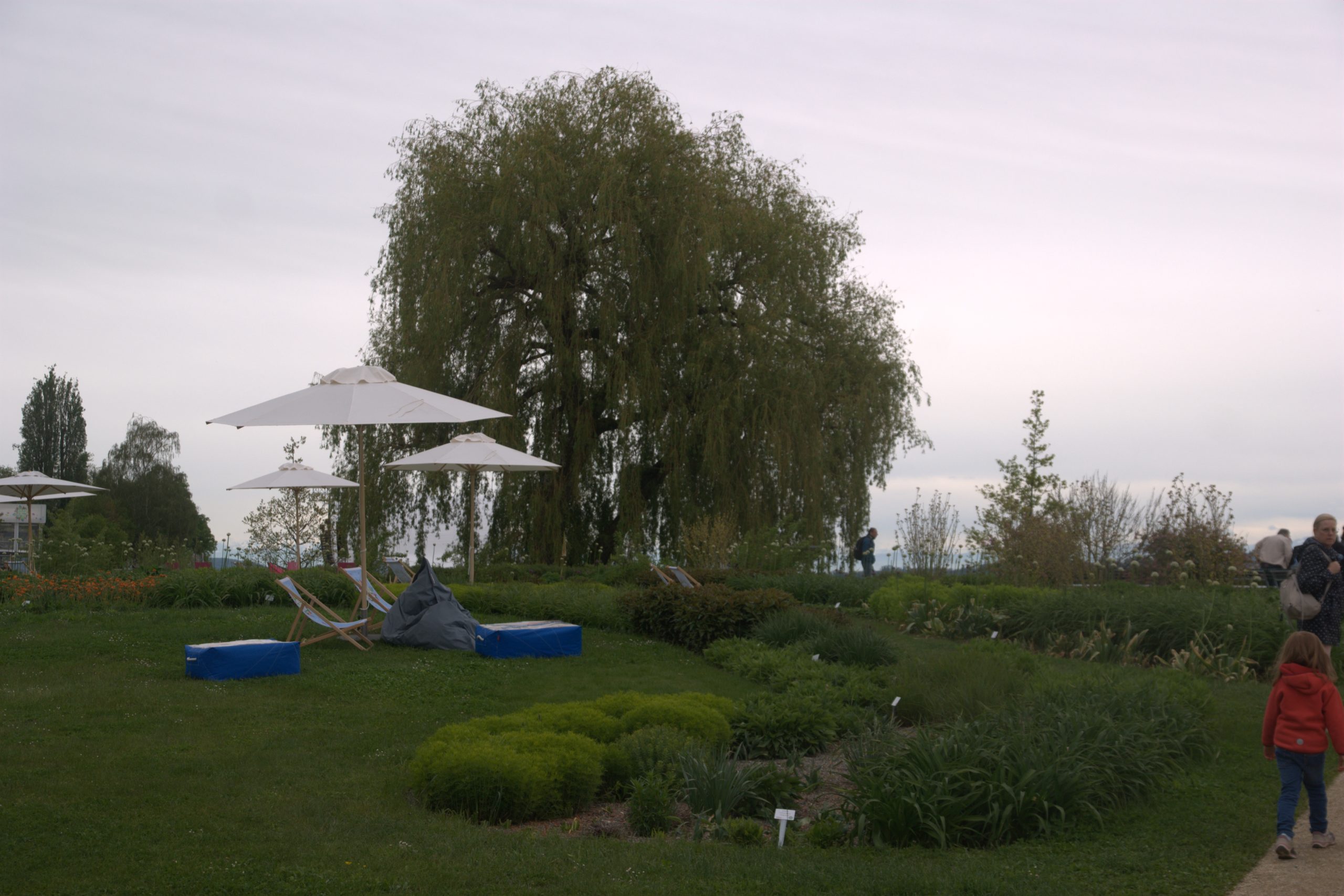 DSC09244