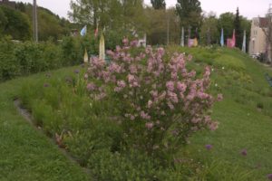 DSC09258