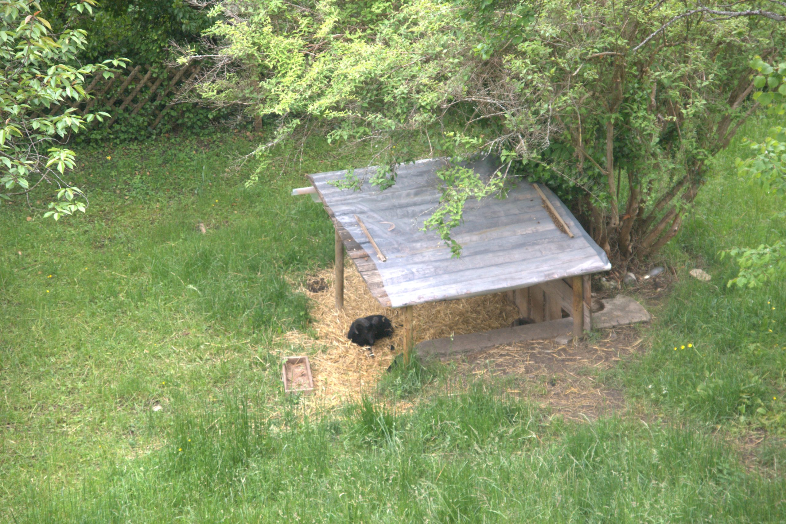 DSC09263
