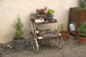 DSC09289