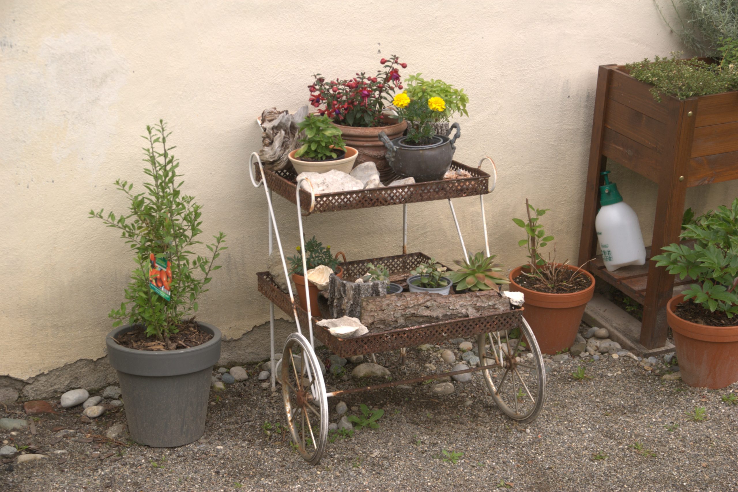 DSC09289