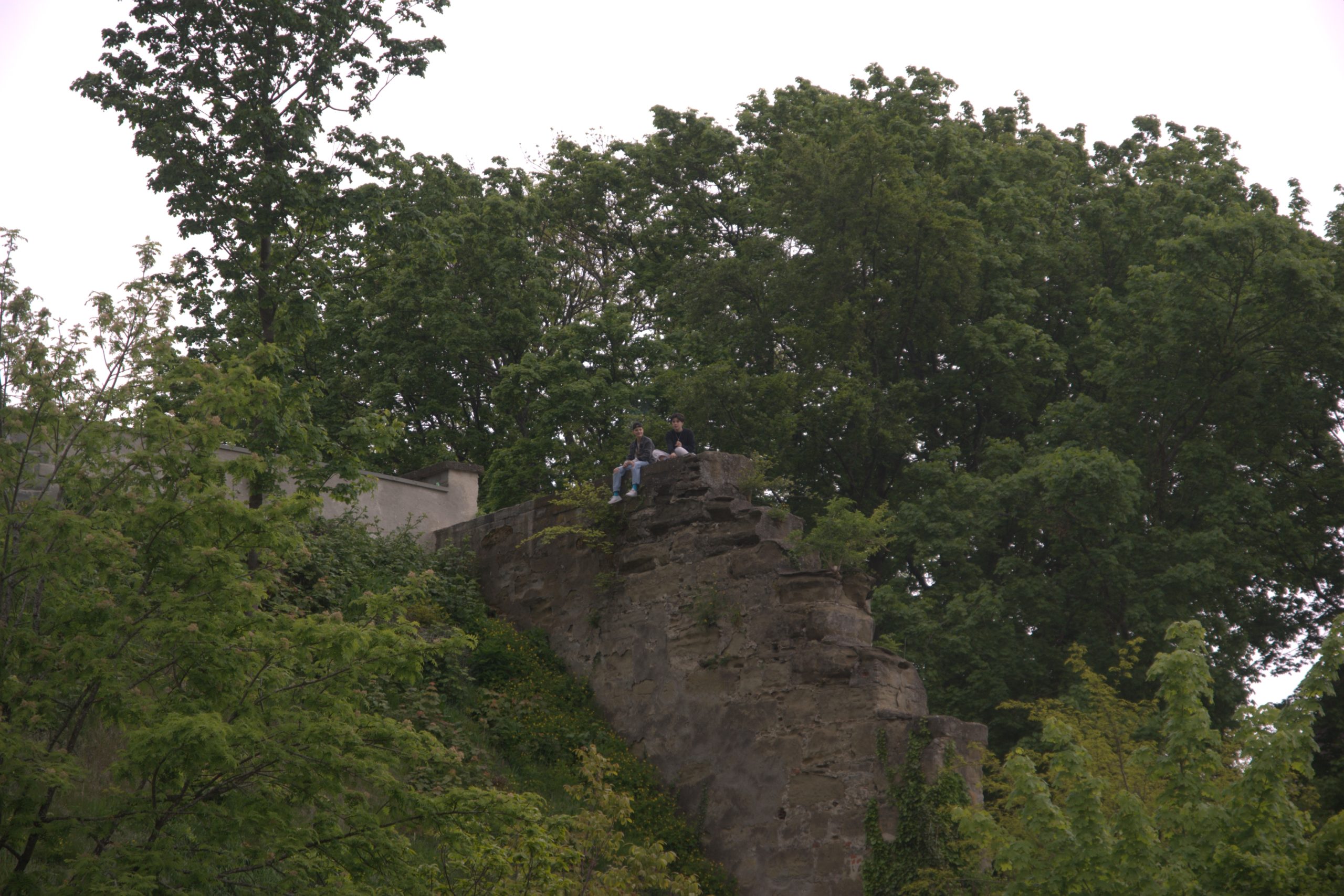 DSC09315