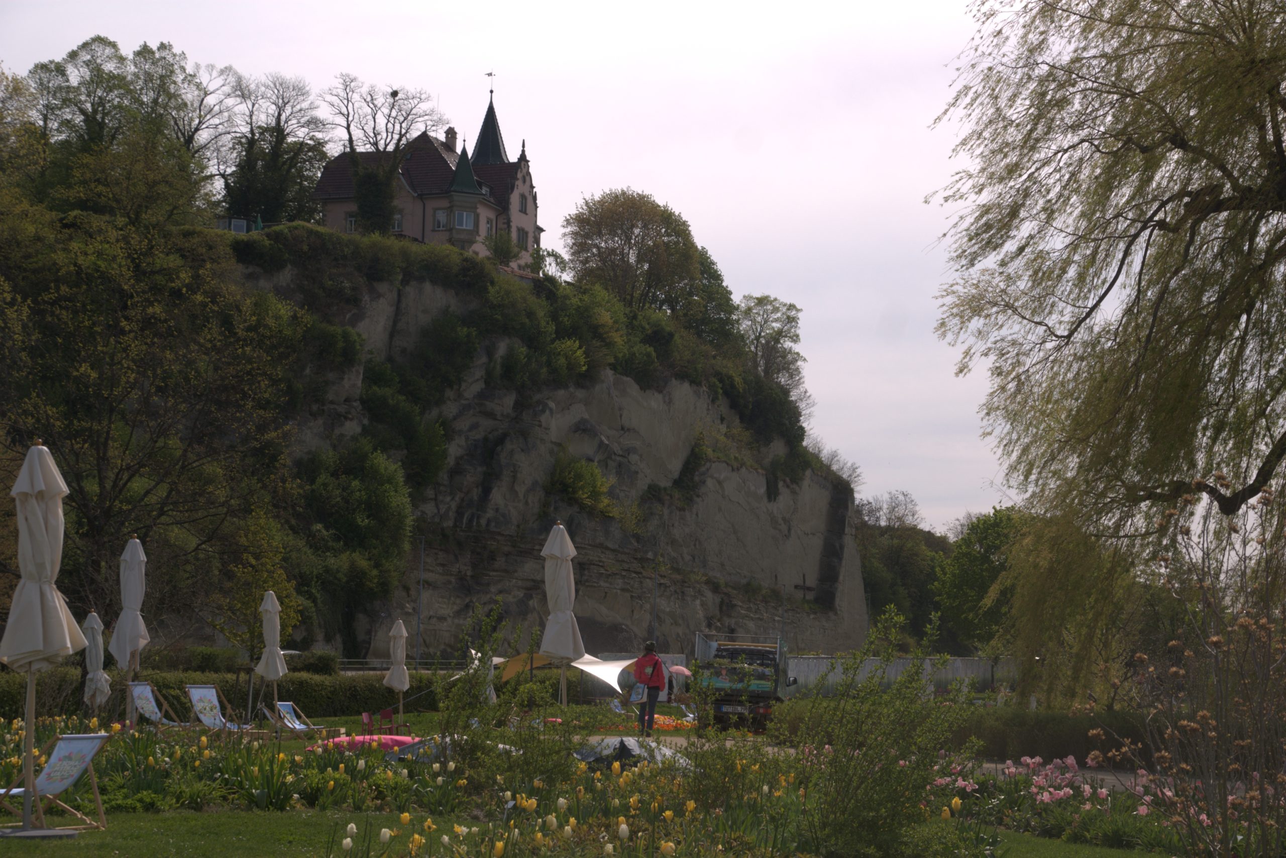D_DSC08660