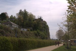 D_DSC08703