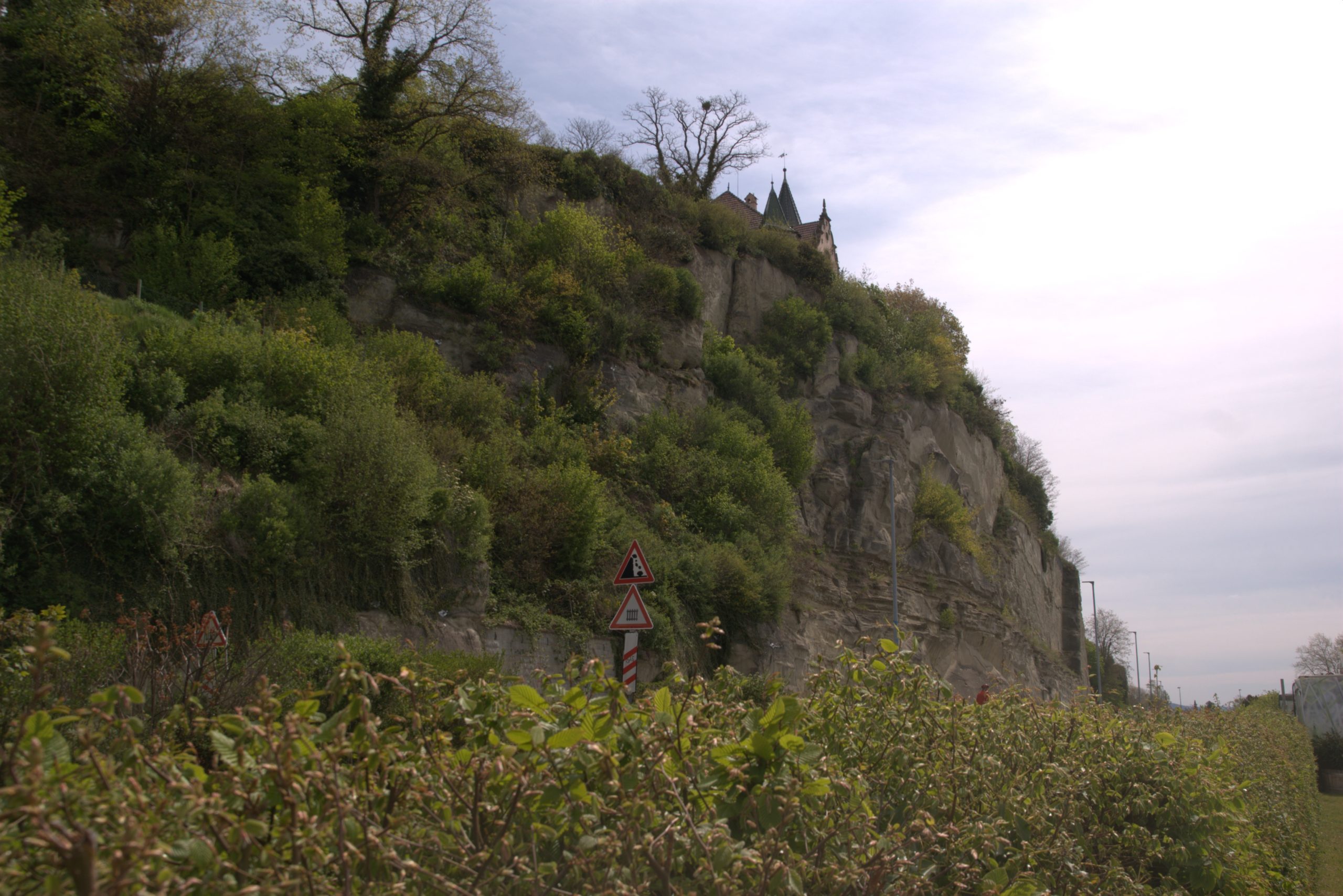 D_DSC08708