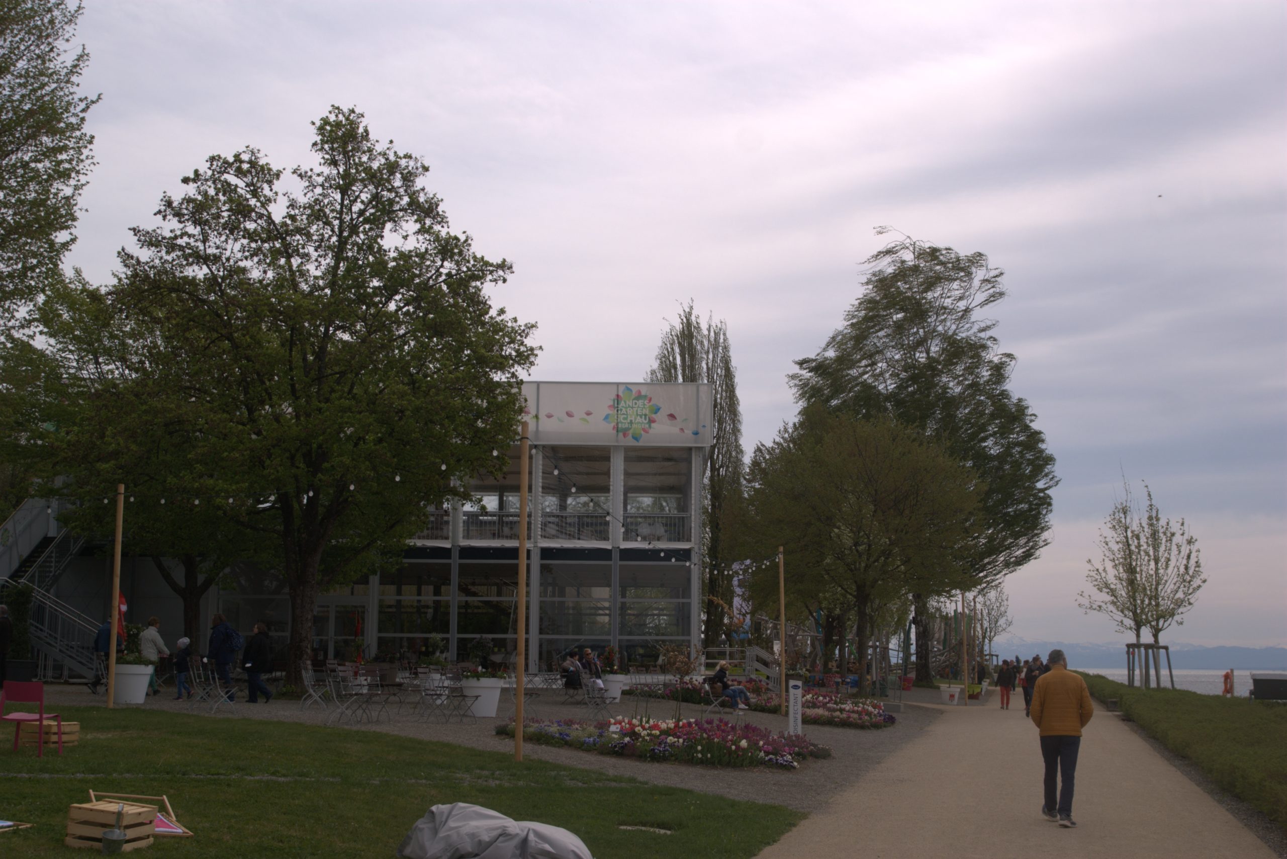 D_DSC08710
