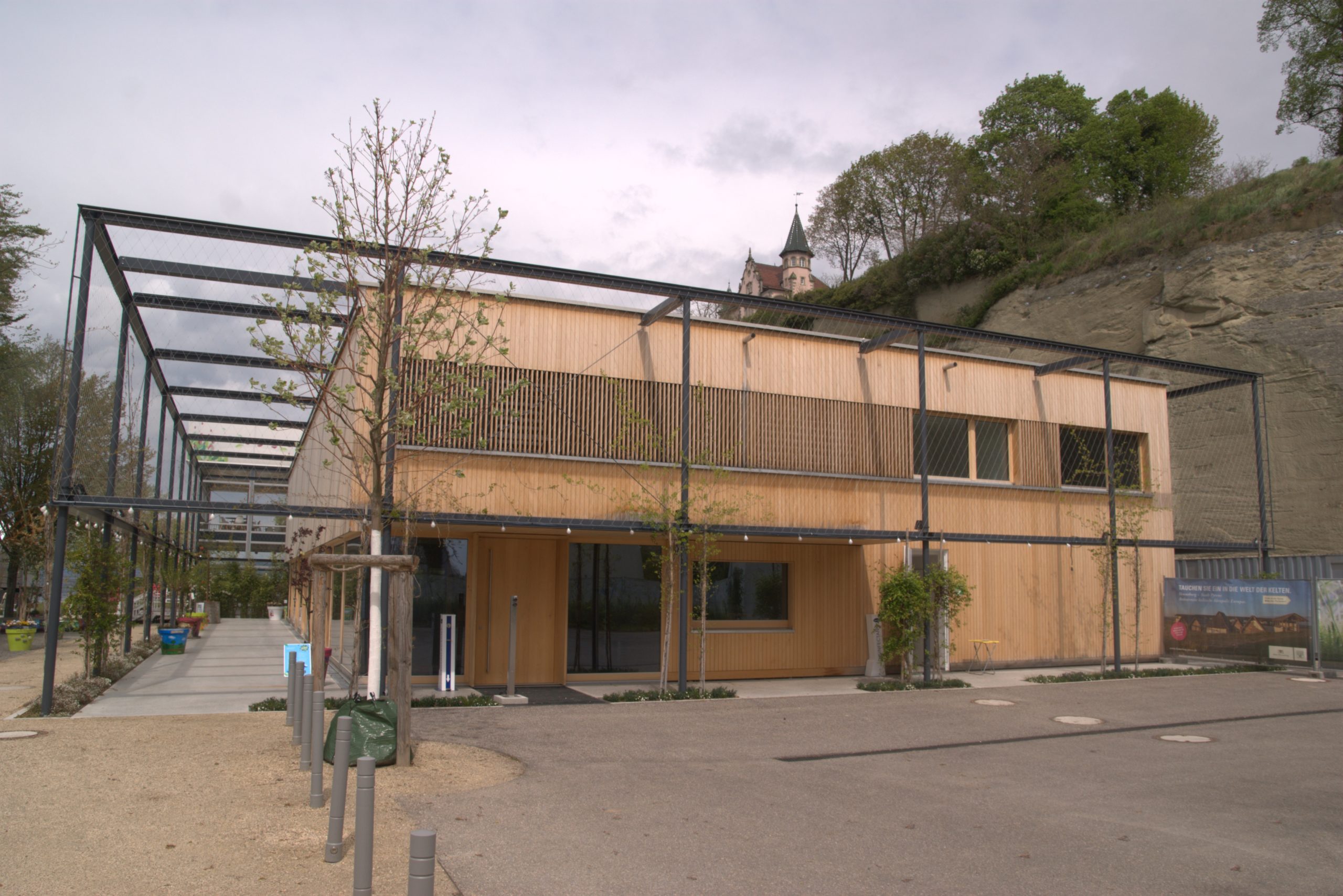 D_DSC08717