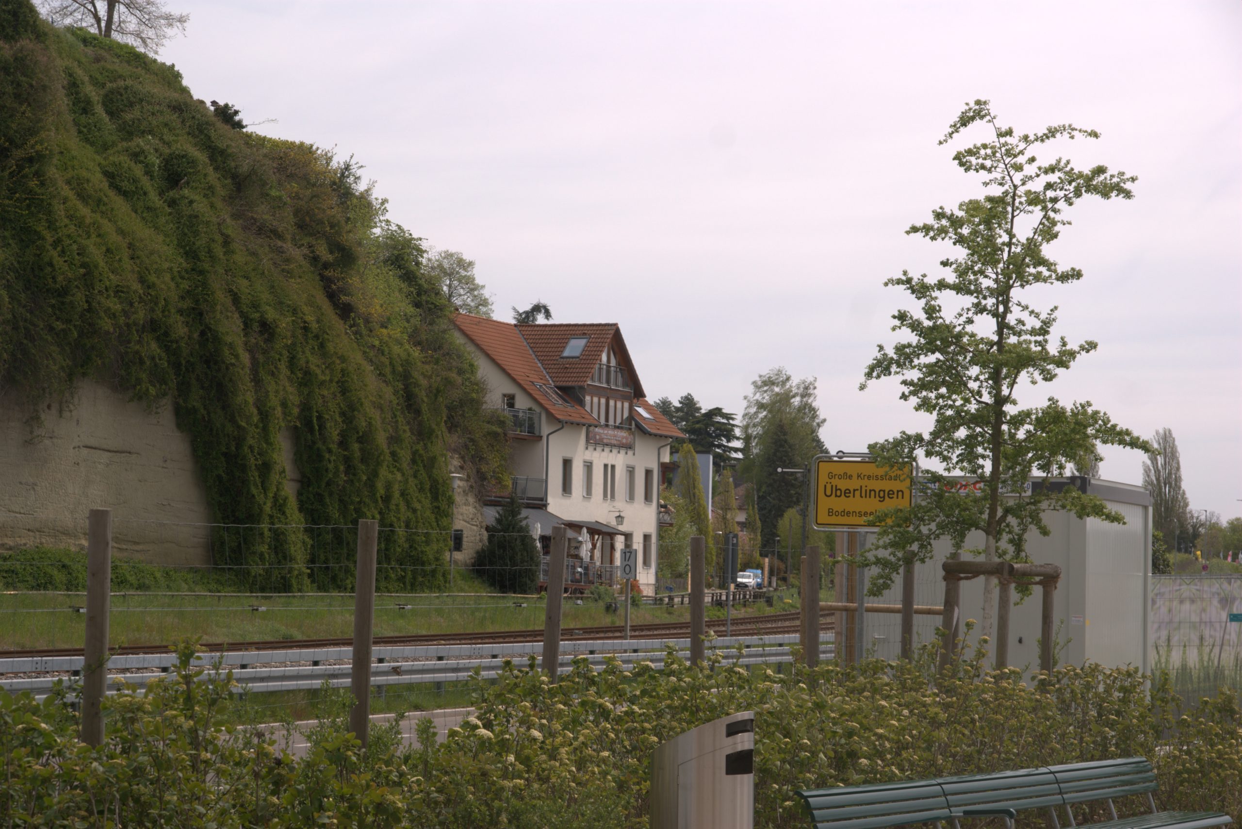 D_DSC08725