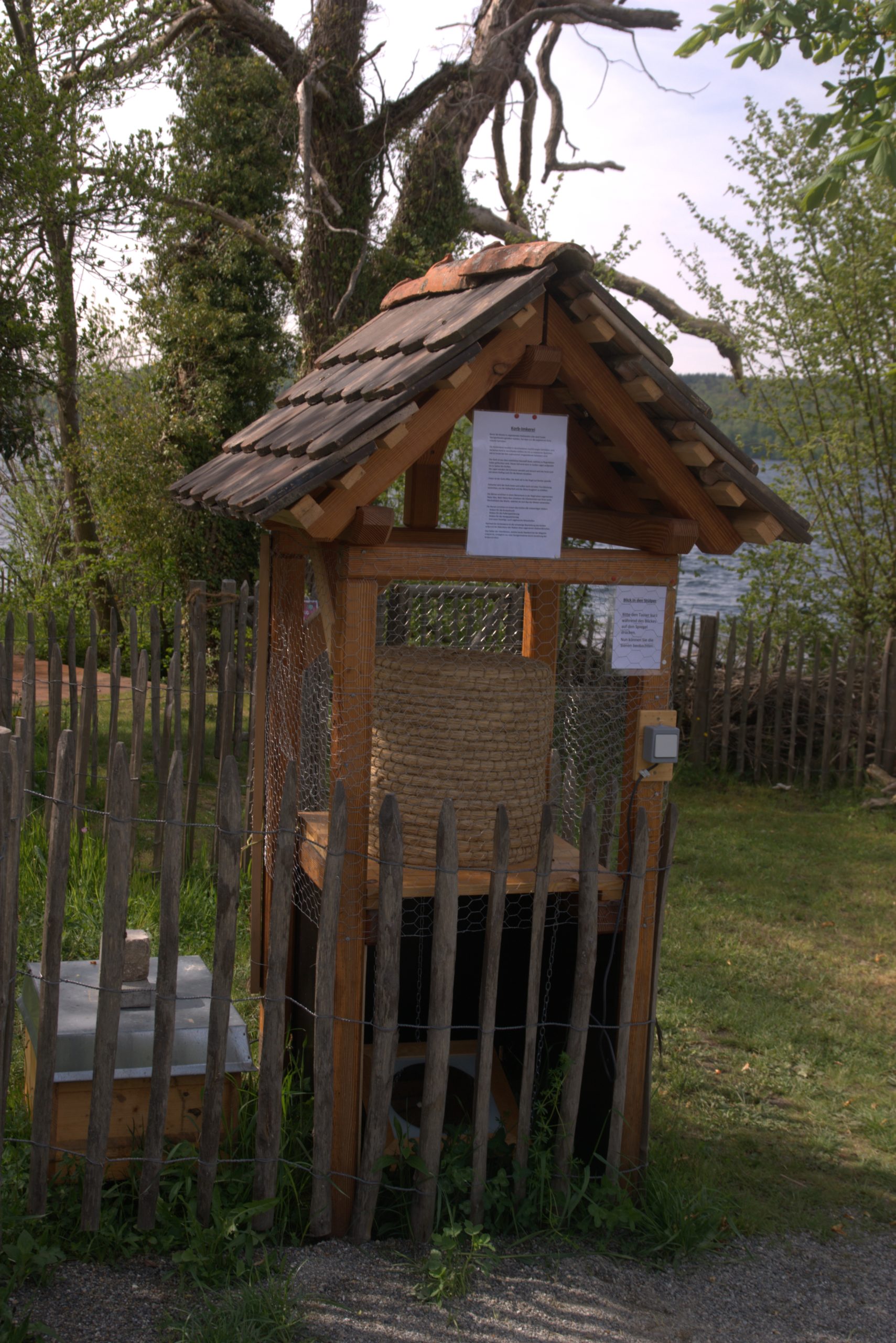 FE_DSC08685