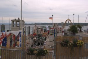 G_DSC08754