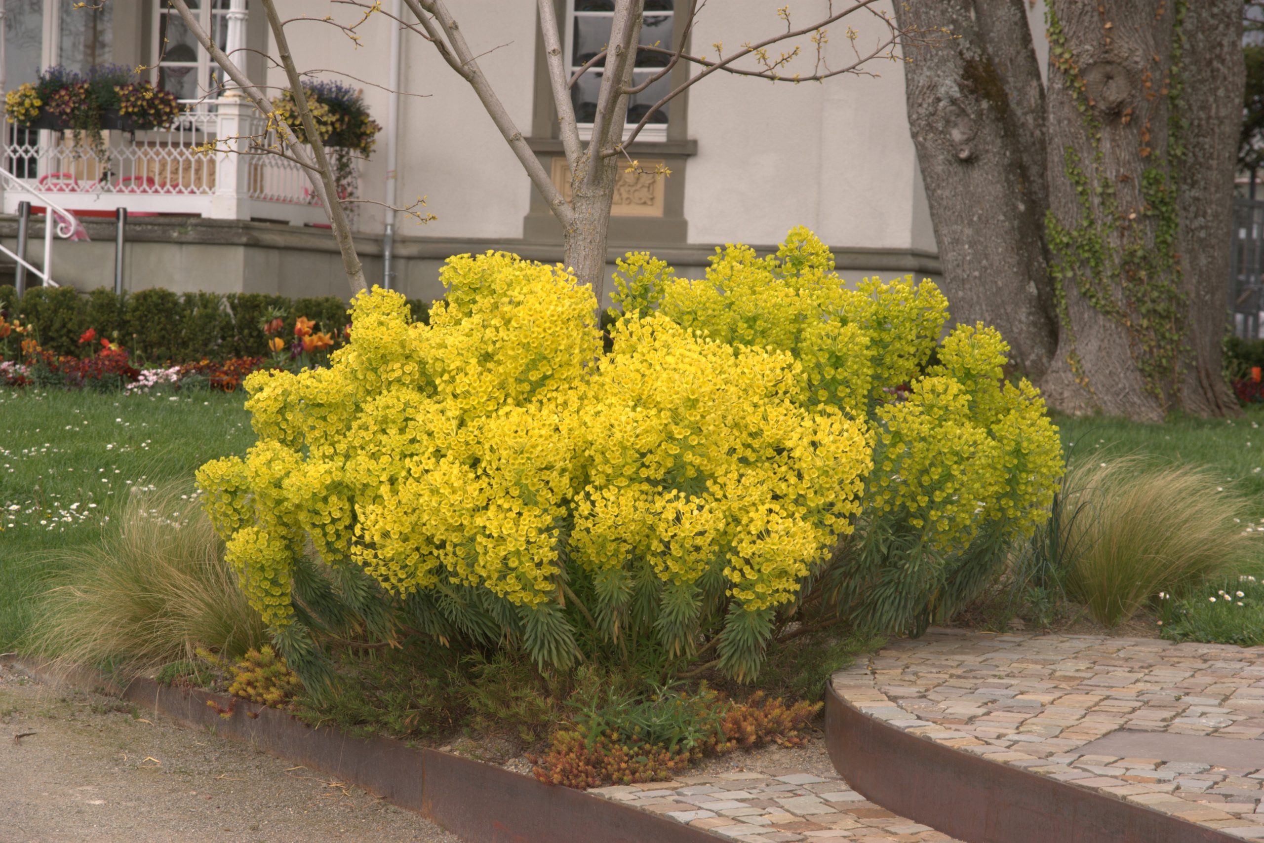 H_DSC08789