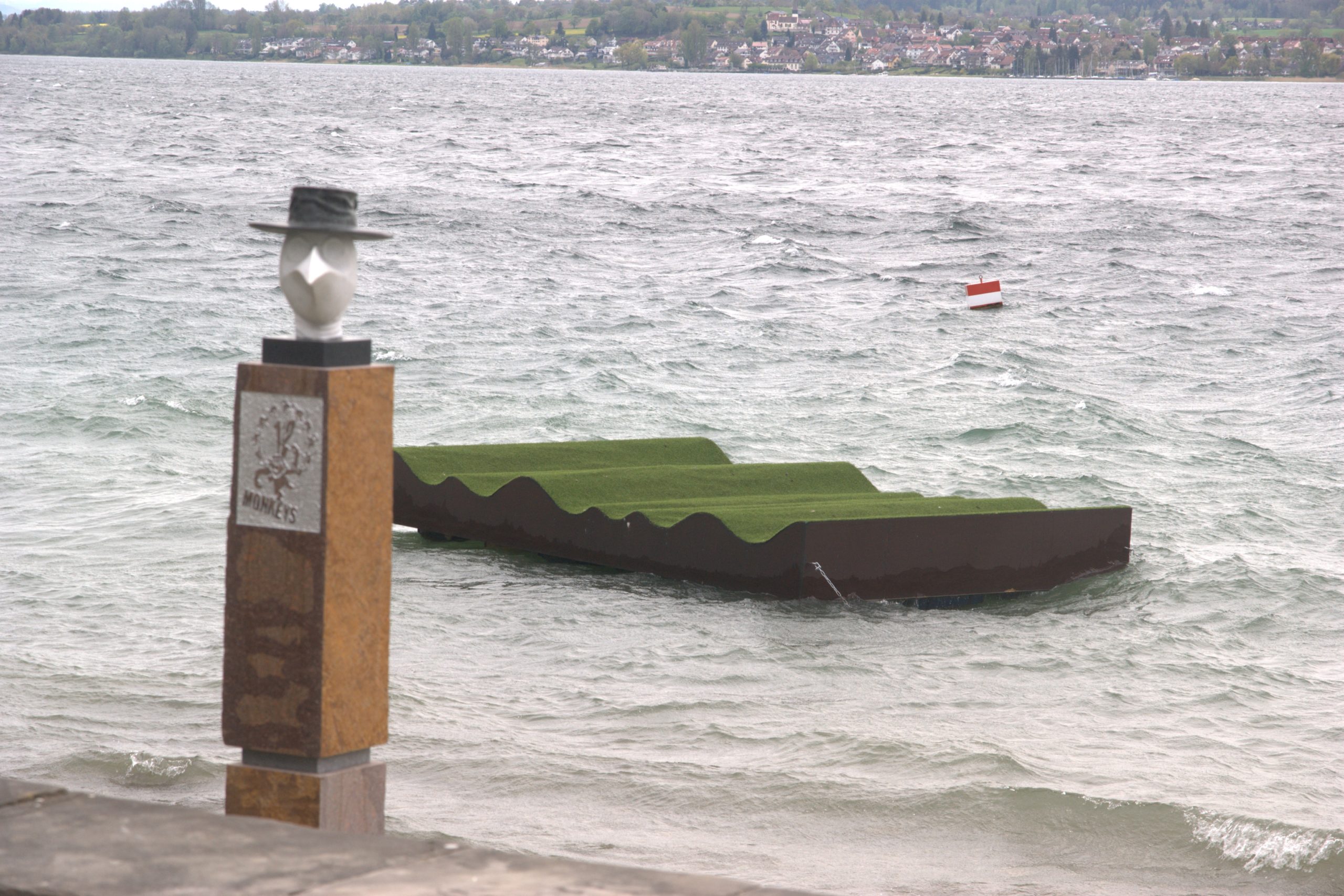 H_DSC08807