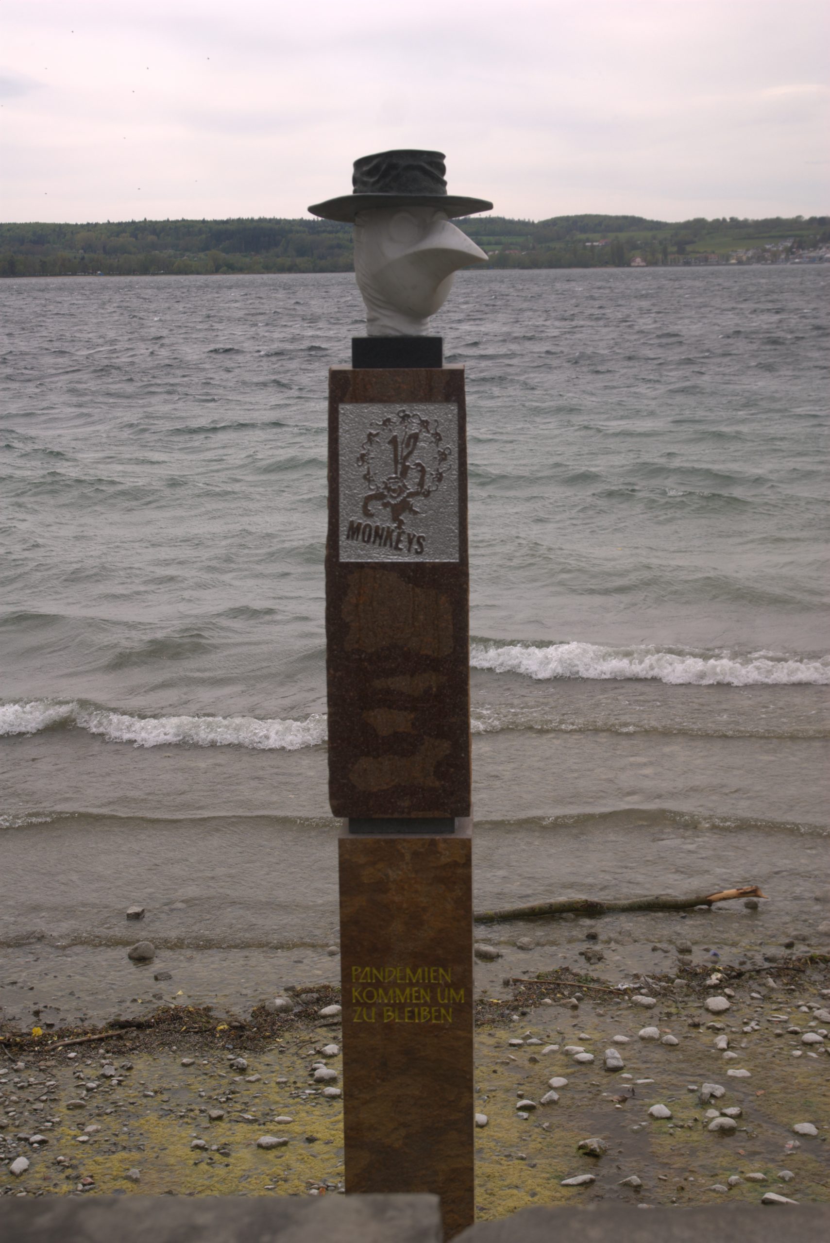 H_DSC08809