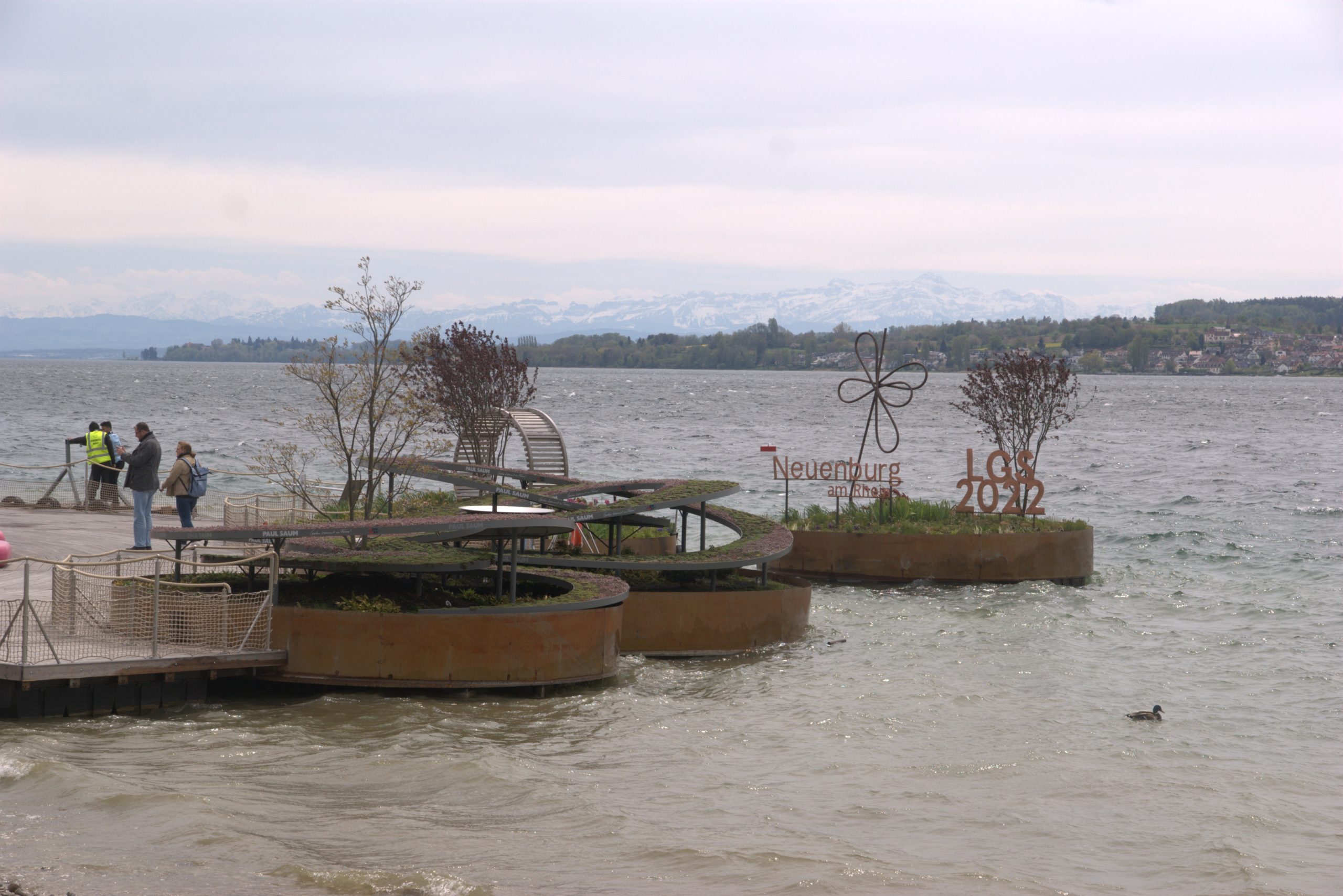 I_DSC08765