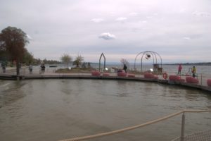 I_DSC08770