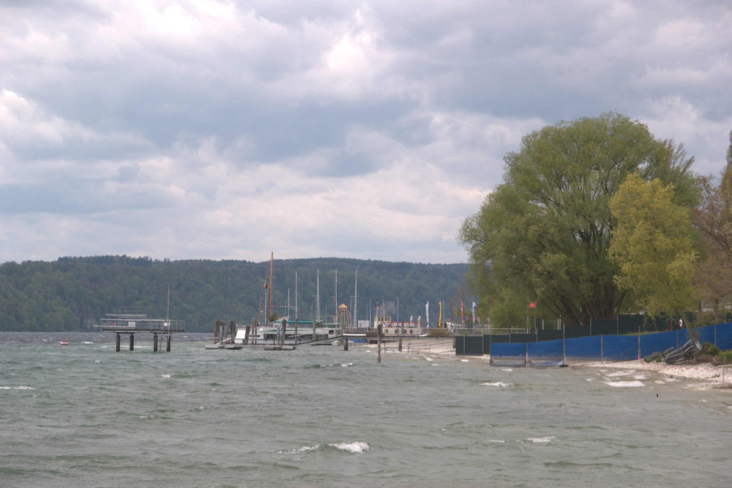 I_DSC08771