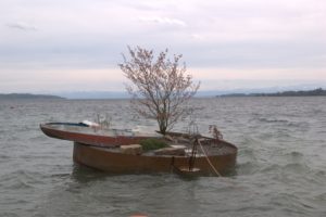 I_DSC08776