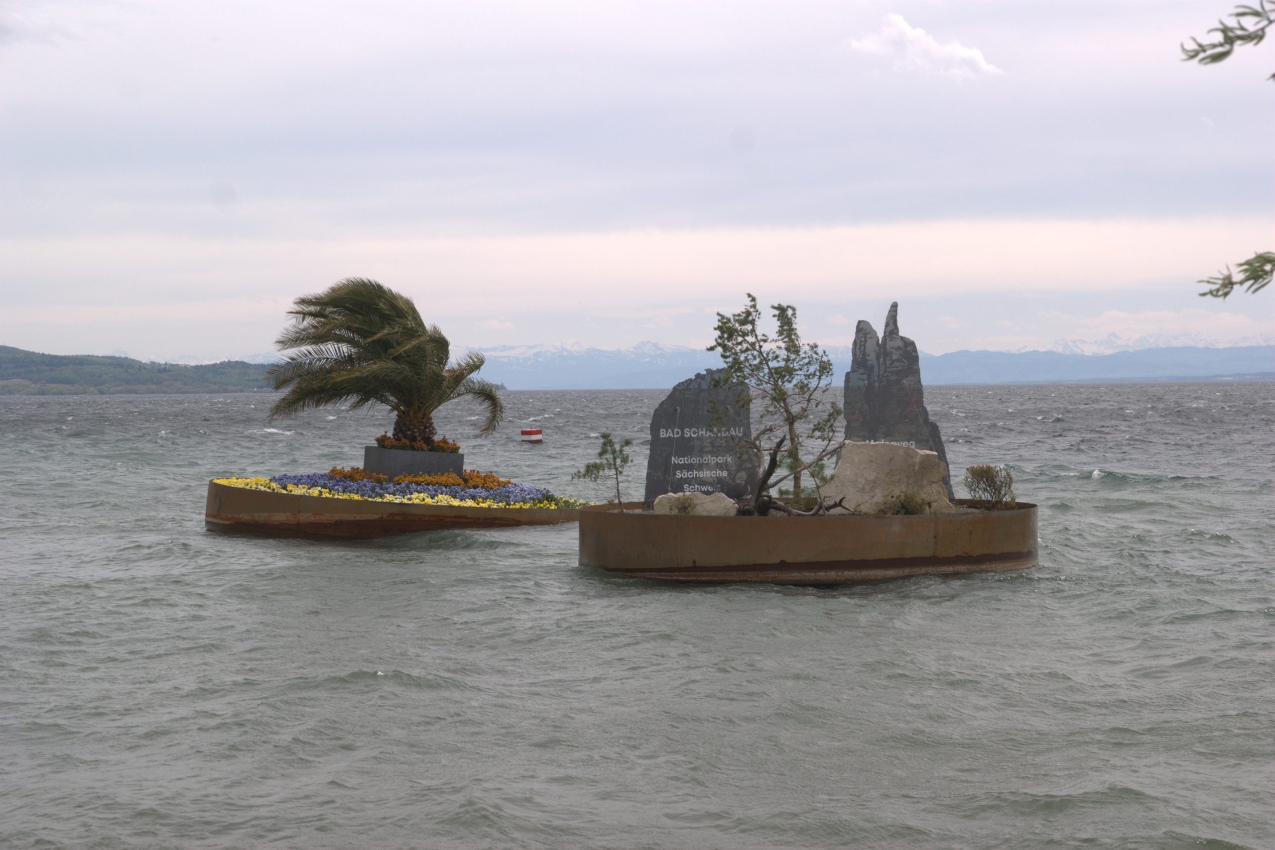 I_DSC08781