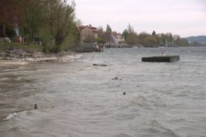 I_DSC08782
