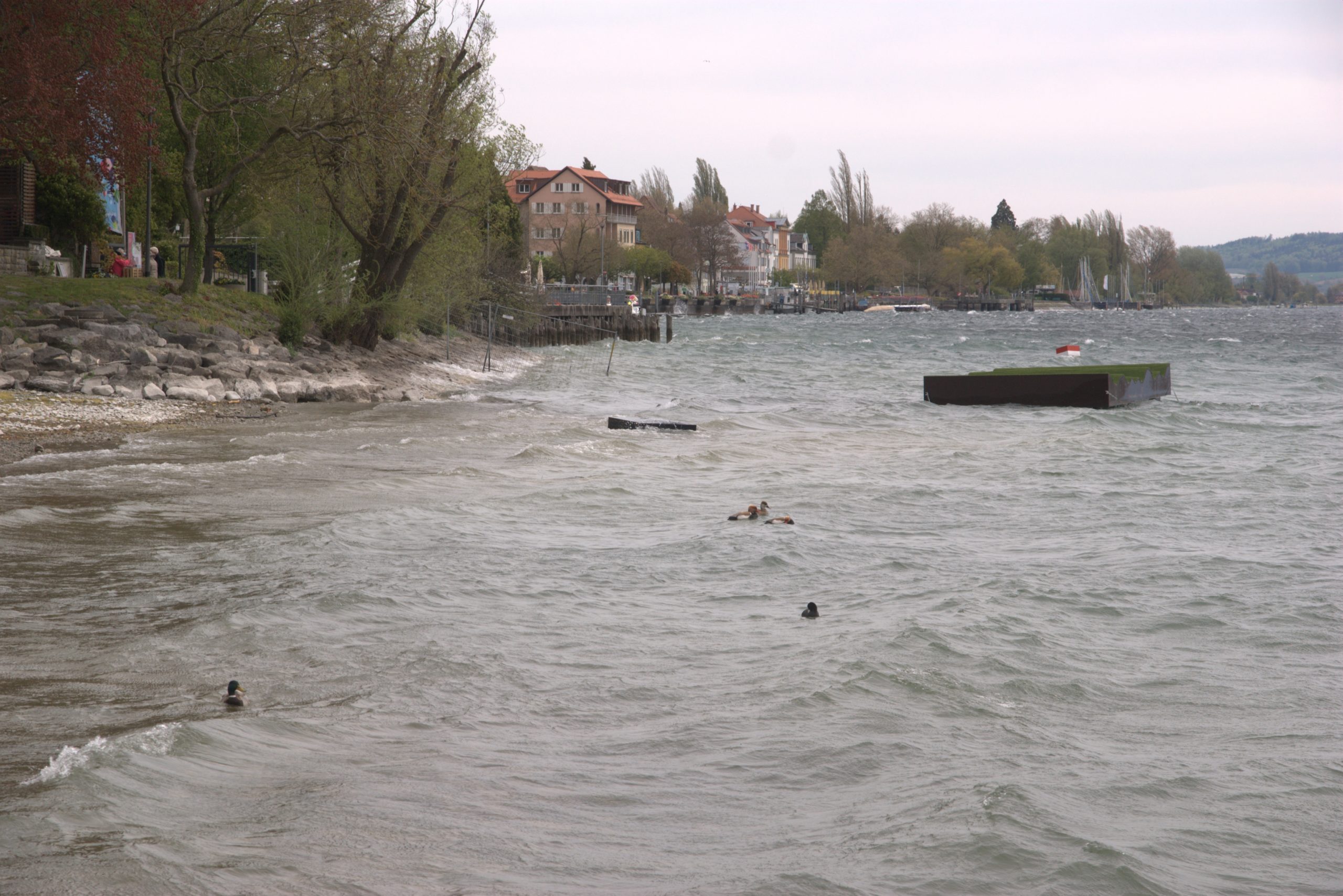 I_DSC08782