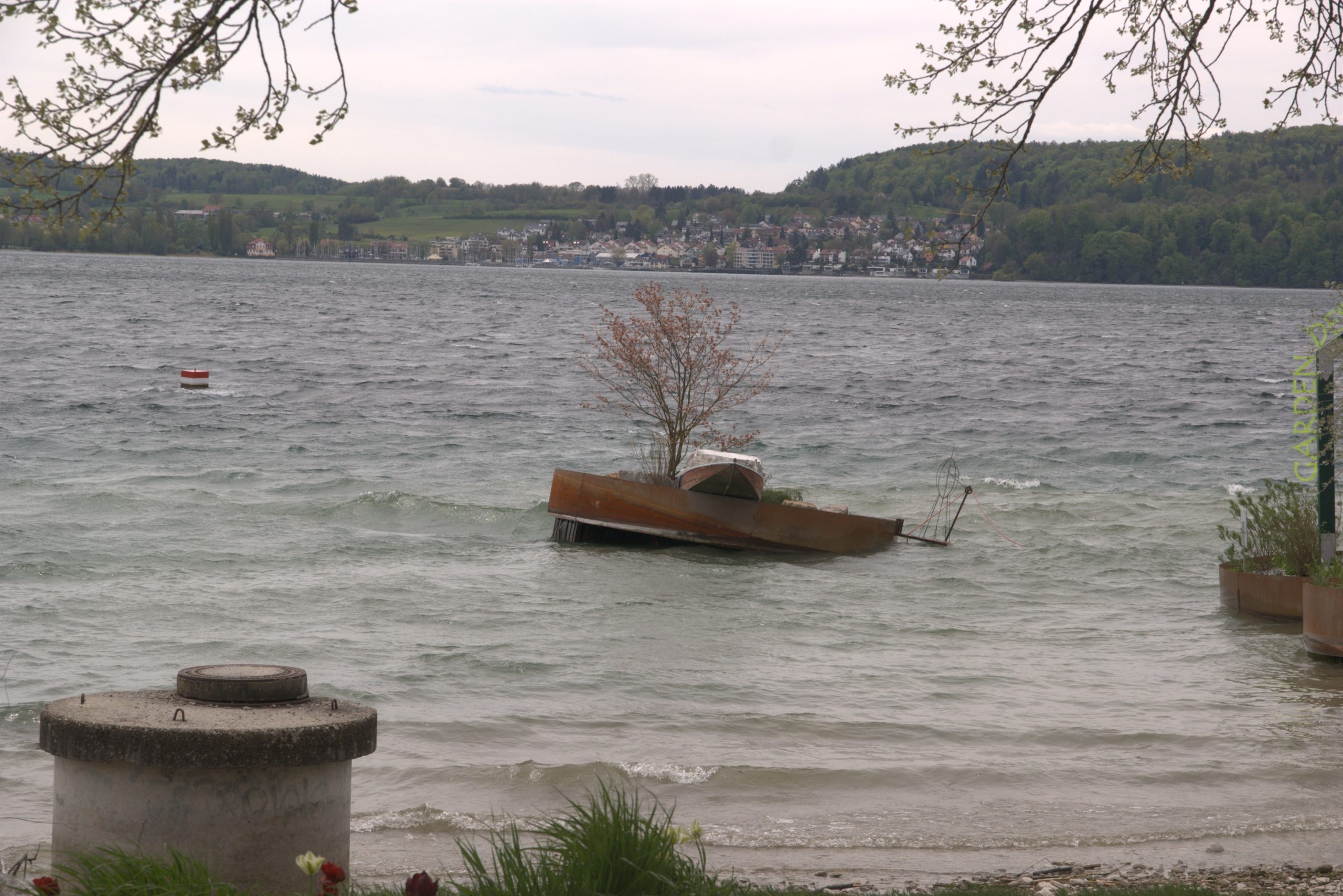 I_DSC08795