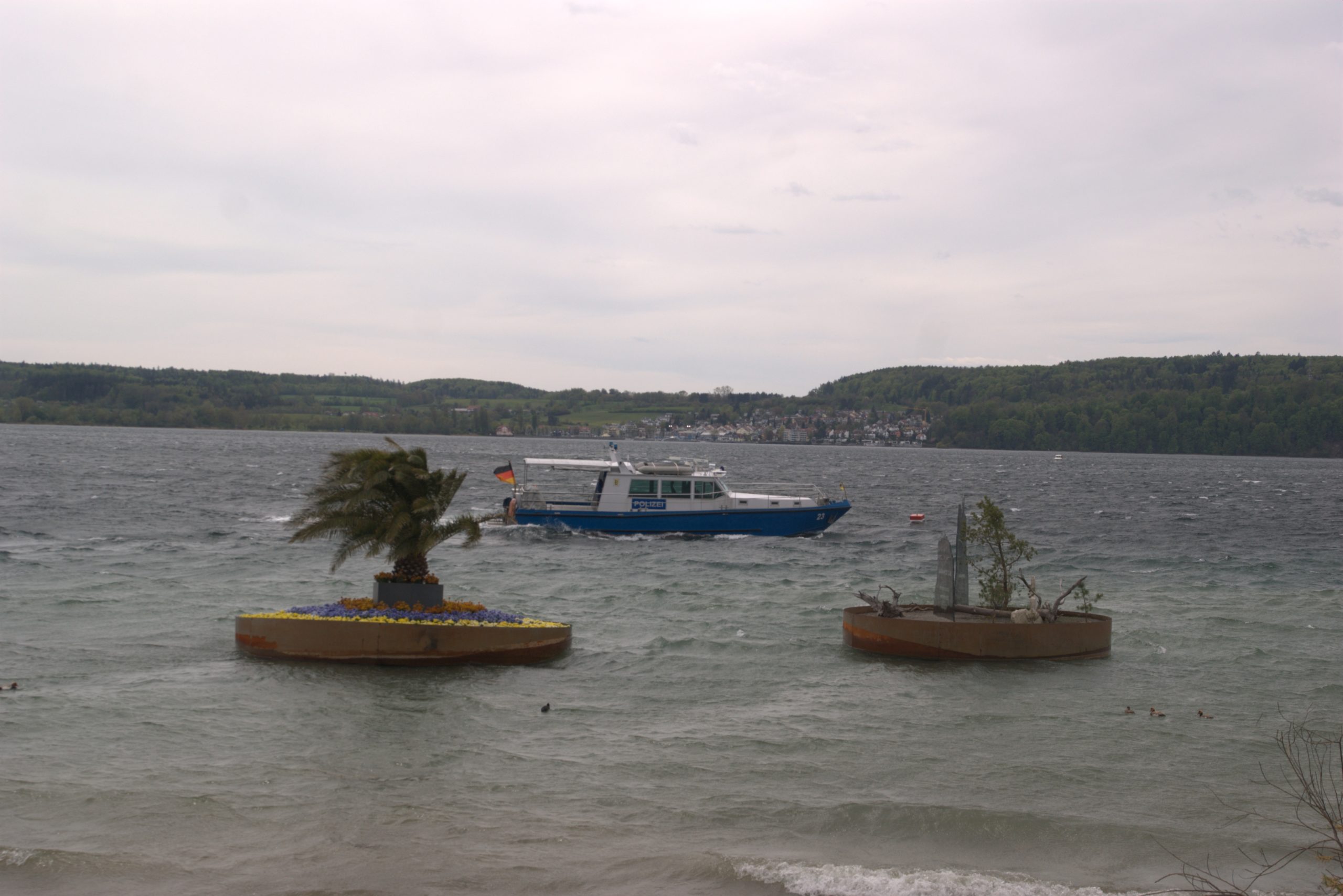 I_DSC08801