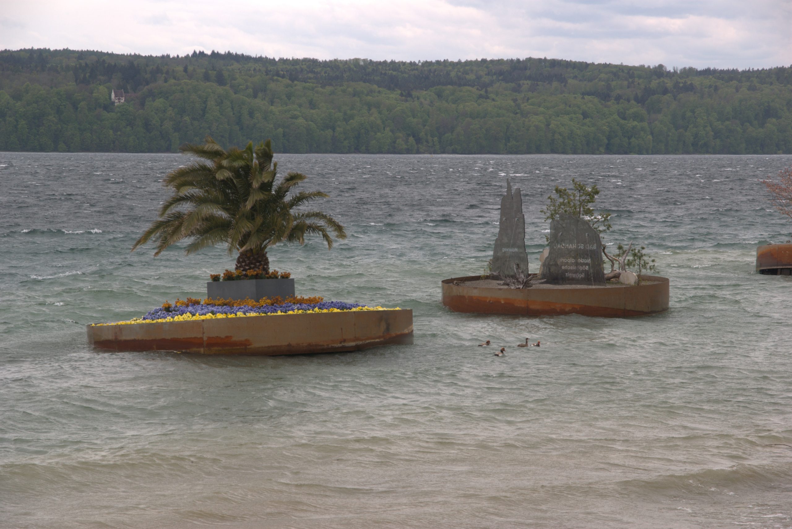 I_DSC08811