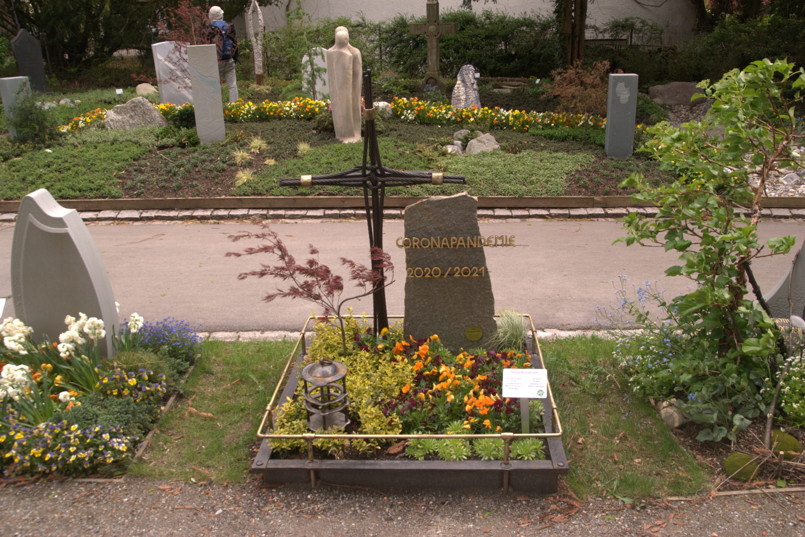 J_DSC08820